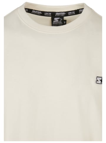 STARTER STARTER Herren Starter Essential Oversize Tee in palewhite