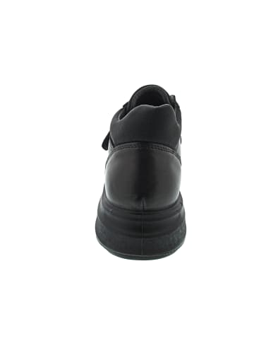 ara Arizona Stiefelette Schwarz