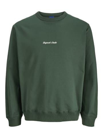 Jack & Jones Sweatshirt JORNORREBRO EMB SWEAT CREW in Grün