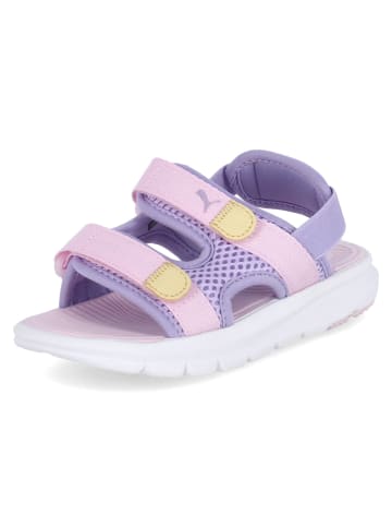 Puma Sandalen EVOLVE SANDAL PC in Violett