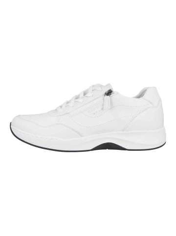 Josef Seibel Sneaker in Weiß
