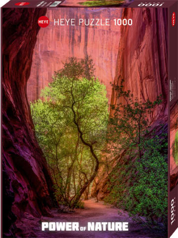 HEYE Puzzle Singing Canyon in Bunt