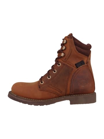 Harley Davidson Stiefeletten braun
