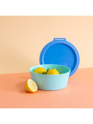 koziol NORA BOX 1,3l - Schale 1,3l mit Deckel in sweet green/strong blue