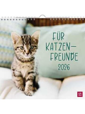 Groh Kalender - Wandkalender 2026: Für Katzenfreunde