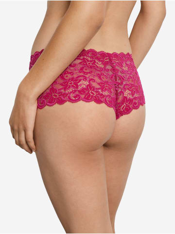 Hanro Panty Moments in light sangria