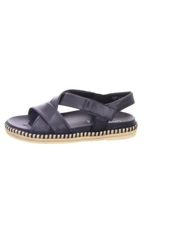 Gabor Riemchen Sandalen für Damen in blau