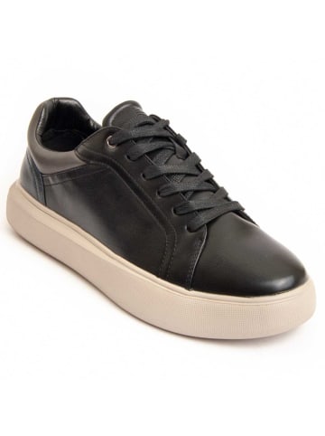 Montevita Sneakers Maroon in Schwarz