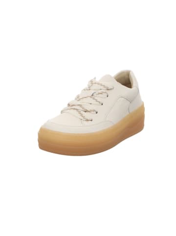 Gabor Schnürschuhe in beige