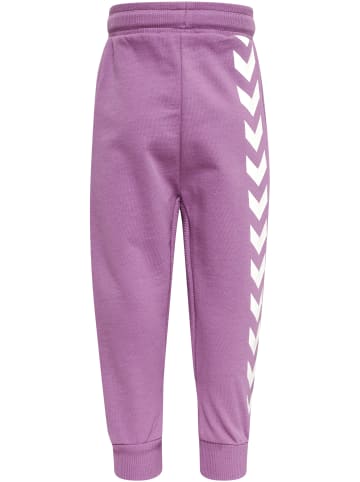 Hummel Hose Hmlfast Jungen in ARGYLE PURPLE