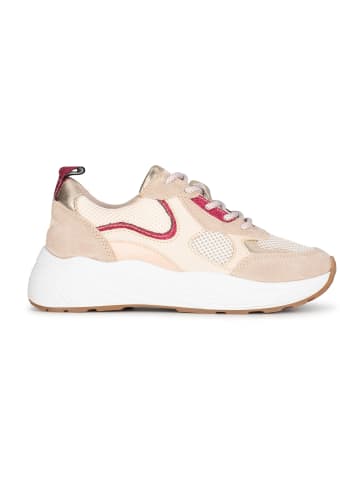 POELMAN PS Poelman TRIANGLE Damen Sneaker