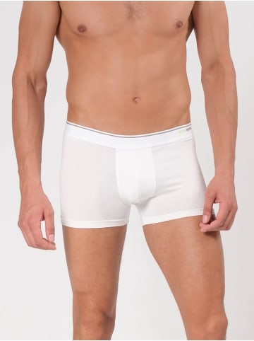 BLACKSPADE Fits perfect Retro Pants Tender Cotton in weiß