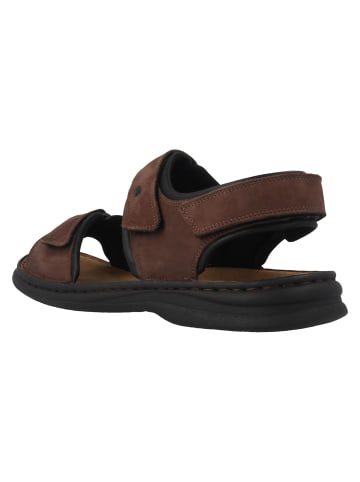 Josef Seibel Sandalen in Braun