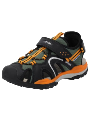 Geox Sandalen in BLACK/ORANGE