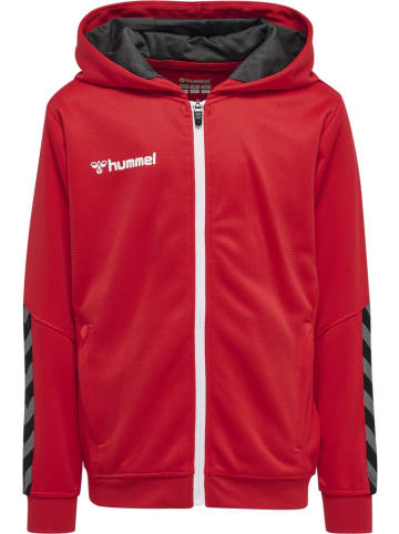 Hummel Kinder Hoodie "Hmlauthentic" in Rot
