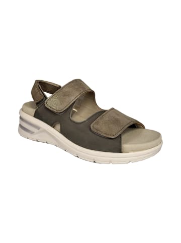 Dr. Stark SHOES "Cenere" in Grau