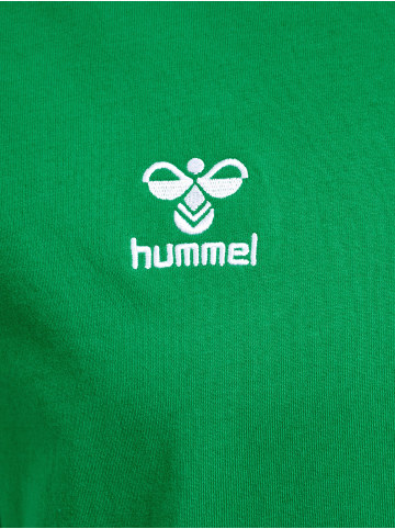 Hummel Hummel T-Shirt Hmlgo Multisport Herren in JELLY BEAN