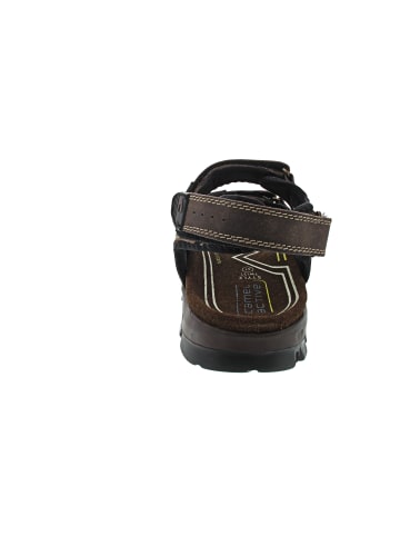 Camel Active Sandale Braun