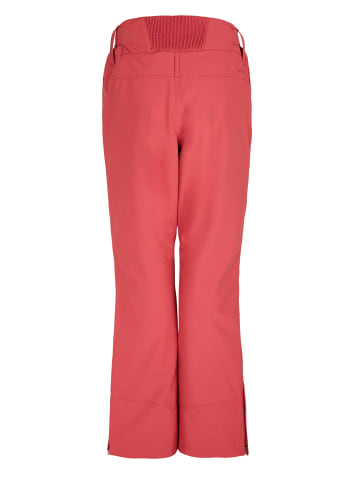 Protest " CINNAMON in Rusticrust