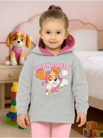 Paw Patrol Paw Patrol Hoodie Kapuzenpullover in grau