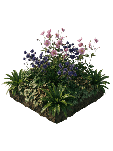 NatureNest Staudenpaket Nora mehrjährig blühend für Blühborder in Mix