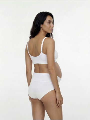 mama licious 2er-Pack BH in Misty Rose