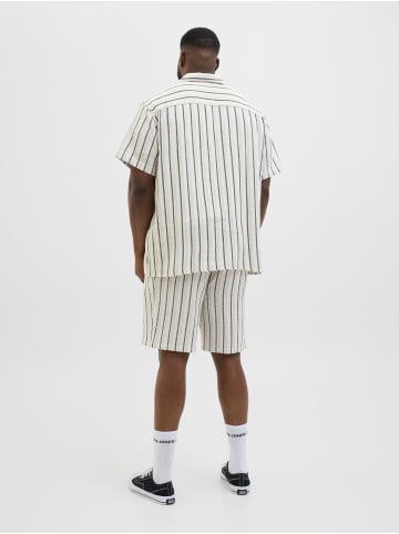 JACK & JONES PLUS Hemd in Celadon Tint