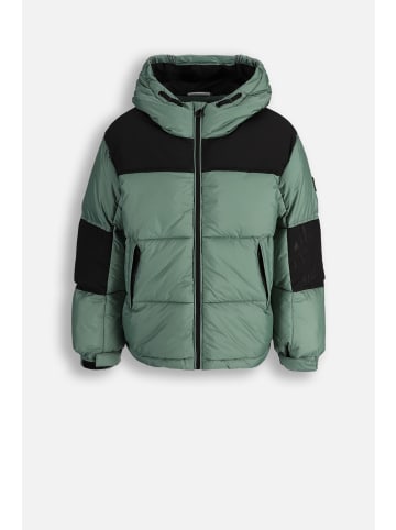 Coccodrillo Winterjacke in grün