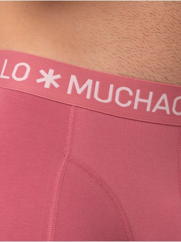 Muchachomalo 3er-Set: Boxershorts in Black/Blue