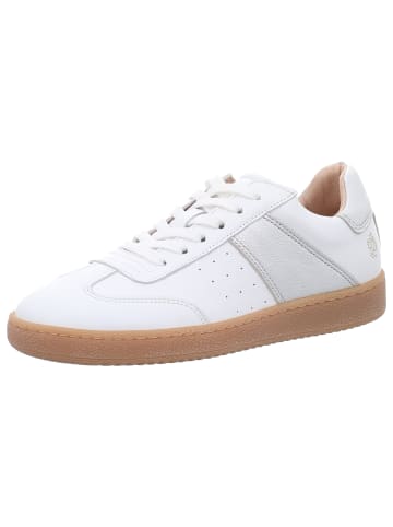 Apple of Eden Sneaker in weiß