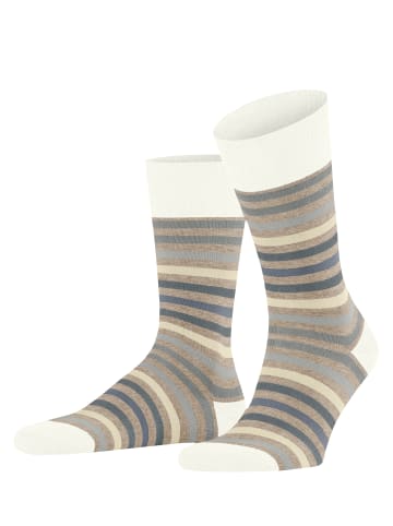 Falke Socken Tinted Stripe in Beige mel.