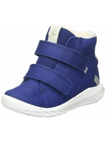 Ecco Stiefel für Jungen in blau