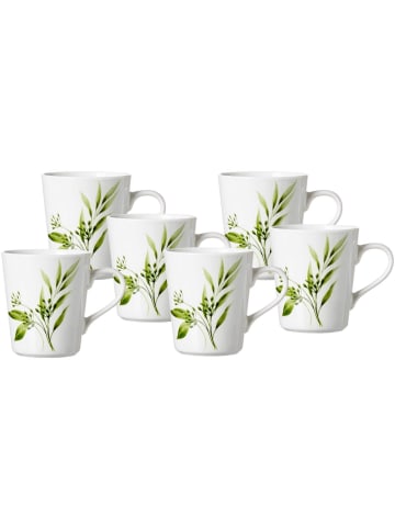 Ritzenhoff & Breker 6er Set Kaffeebecher Evora 300 ml in weiß-grün