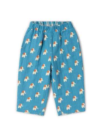 Little Green Radicals Wendbare Hose in Blau