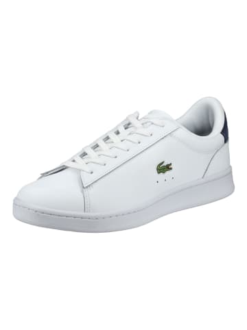 Lacoste Sneaker in Weiß/Blau