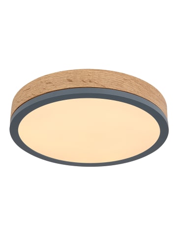 Globo lighting Deckenleuchte "DORO" in gray