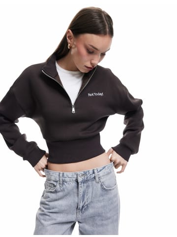 KOTON SWEATSHIRTS in Braun