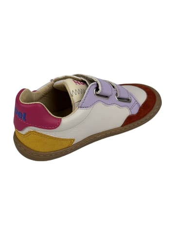 KOEL Klettschuhe in Bunt