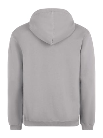 Fila Sweatshirt in Grau