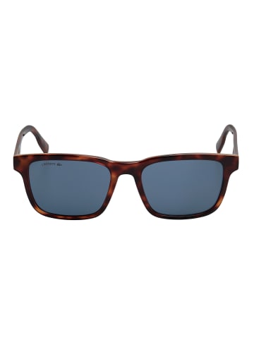 Lacoste Sonnenbrille in Brown