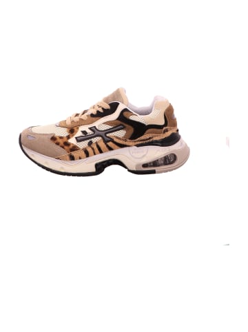 Premiata Sportliche Schnürschuhe in Beige