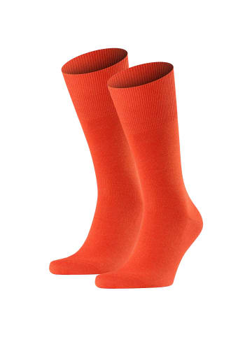 Falke Socken 2er Pack in Orange (Ziegel)