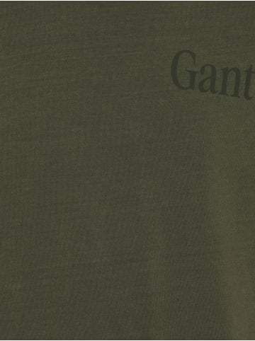 Gant T-Shirt in oliv
