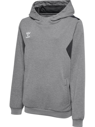 Hummel Kinder Sweatshirt "Hmlauthentic Pl Hoodie Kids" in Grau