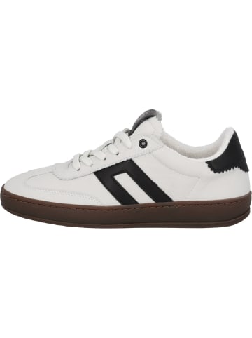 palado Sneakers Low in white/black