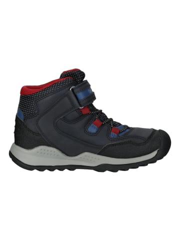 Geox Stiefelette in Navy/Rot