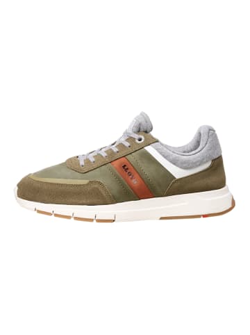 LLOYD Sneaker Sneaker "ENNIO" in gruen