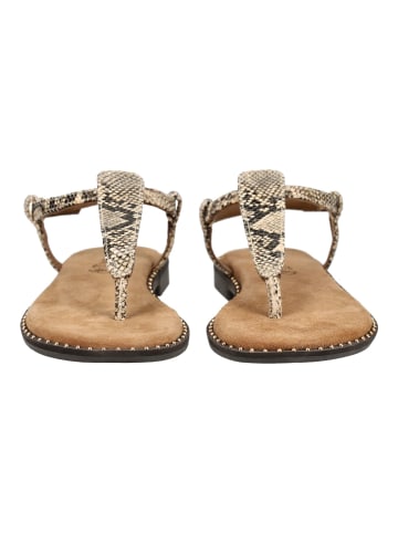 Lazamani Zehensteg AYLA SNAKE Beige