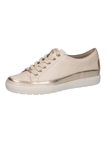 Caprice Sneaker in Cream