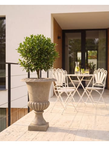 Beliani Outdoor Blumentopf MELOS in Beige - (W) 47 x (H) 60 x (L) 47 cm
